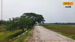 ৫১ বছৰে মৃতকৰ স্মৃতিত একোটিকৈ গছপুলি ৰুই অহা এইখন অসমৰে এখন গাঁও