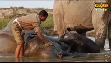 কহঁৰা নদীত প্ৰাণঢালি উমলিছে কাকমাই-পাহাৰীহঁতে 