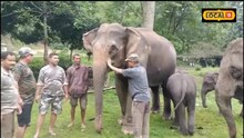 বান সমাগত : কাজিৰঙাৰ হাতীৰ স্বাস্থ্য পৰীক্ষা 