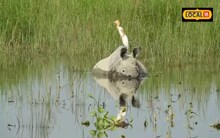 গঁড়ে শৰীৰত কিয় বোকা লেটি লয় জানেনে?