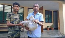 শিৱসাগৰৰ ঐতিহাসিক পহুগড়ত আঘাতপ্ৰাপ্ত পৰিভ্ৰমী পক্ষী উদ্ধাৰ