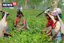 সমষ্টি পুনঃনিৰ্ধাৰণঃ অসমৰ ৰাজনীতিত এলাগী হ'ব নেকি চাহ জনগোষ্ঠী?