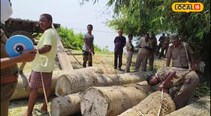 ডিব্ৰু-ছৈখোৱা ৰাষ্ট্ৰীয় উদ্যানৰ পৰা ব্ৰহ্মপুত্ৰৰবুকুৰে পাৰ হয় মূল্যবান কাঠ