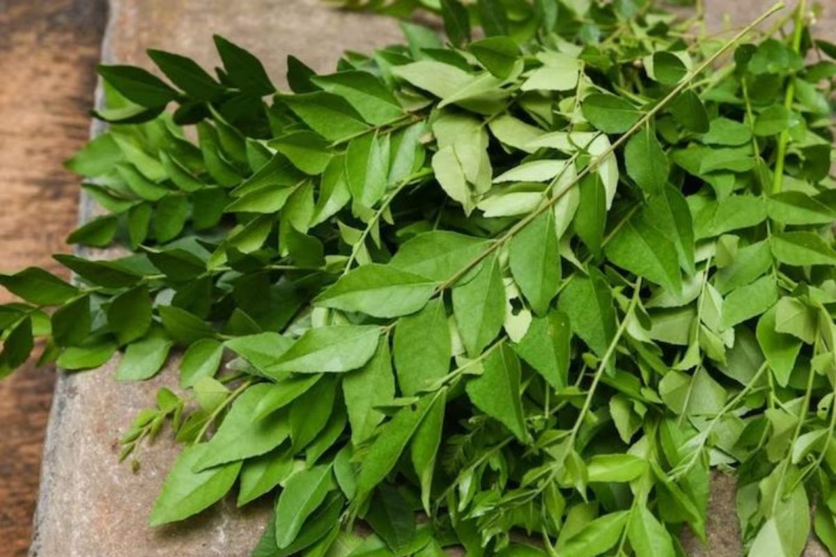 Paththa Health Benefit : এটা ‘পাত’, তাৰ হাজাৰ গুণ! মমৰ দৰে গলাই পেলায় মেদ ...