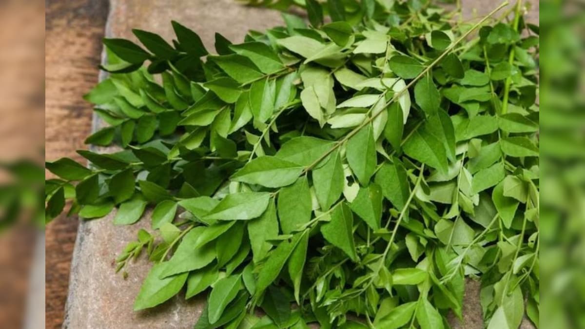Health Benefit : এটা ‘পাত’, তাৰ হাজাৰ গুণ! মমৰ দৰে গলাই পেলায় মেদ ...