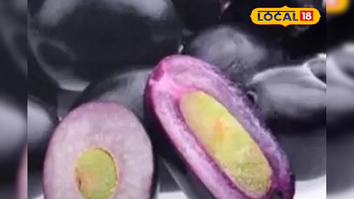 Health Benefits of Java Plum Seeds: জামু খায় নেপেলাব ইয়াৰ গুটি, জামু ...