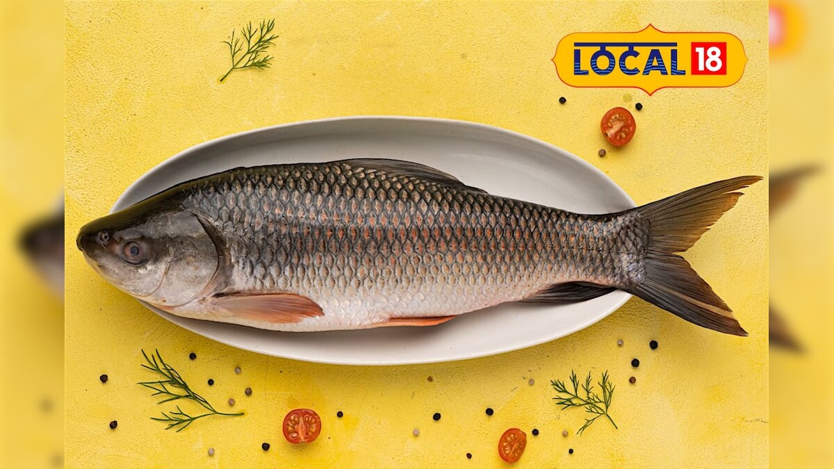 Rohu Fish Health Benefits: ৰৌ মাছ প্ৰিয় নেকি? জানেনে ৰৌ মাছৰ আছে বহু ...