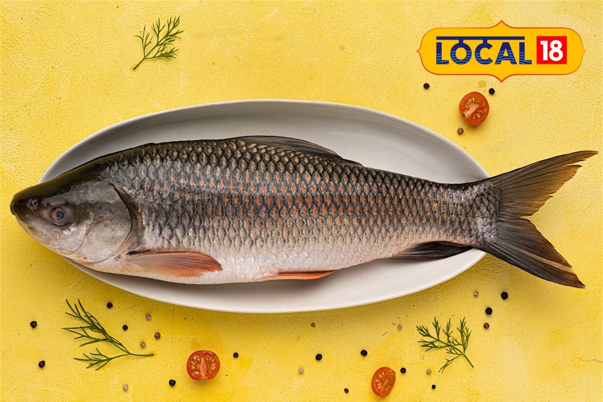 Df Rohu Rohu Fish Health Benefits: ৰৌ মাছ প্ৰিয় নেকি? জানেনে ৰৌ মাছৰ আছে বহু ...