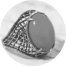 বৃৃশ্চিক