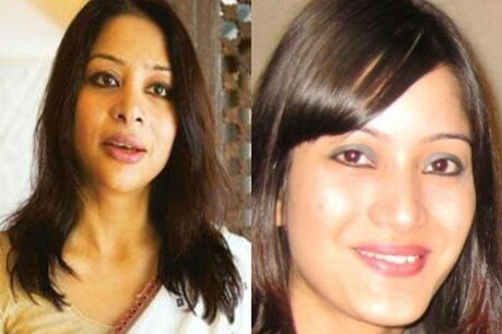 ...तो हत्या के समय गर्भवती थी शीना ...तो हत्या के समय गर्भवती थी शीना
