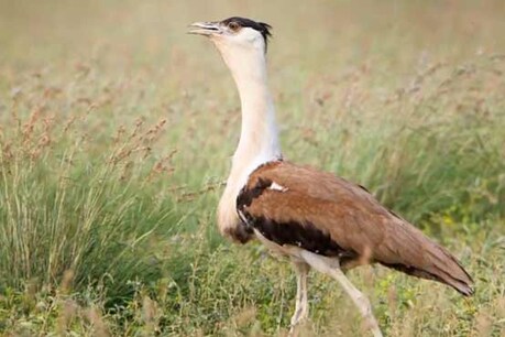 à¤ à¤¡ à¤µà¤£ à¤ à¤¬à¤ à¤¨ à¤ à¤à¤µ à¤¯à¤¦ à¤ª à¤°à¤à¤¨à¤¨ à¤ à¤¨ à¤¦ à¤° à¤ à¤² à¤ à¤ à¤¸à¤²à¤® à¤° à¤ à¤§à¤ª à¤° à¤à¤° à¤à¤à¤® à¤° à¤® à¤¸à¤° à¤µ à¤¶ à¤° news18 hindi