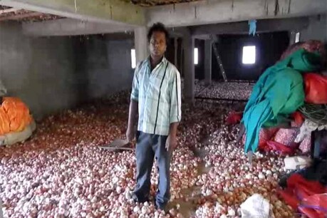 किसानों के घरों में इस तरह सड़ रहा है प्याज.
