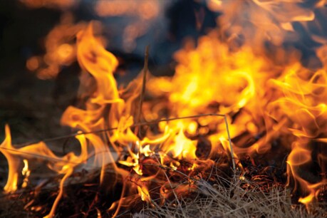 कन्नौज में मिला अज्ञात महिला का जला शव, रेप की आशंका कन्नौज में मिला अज्ञात महिला का जला शव, रेप की आशंका
