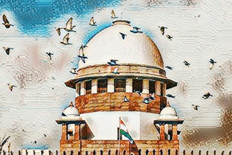 एडल्टरी पर महिलाओं को भी होगी सज़ा? संवैधानिक पीठ करेगी फैसला एडल्टरी पर महिलाओं को भी होगी सज़ा? संवैधानिक पीठ करेगी फैसला