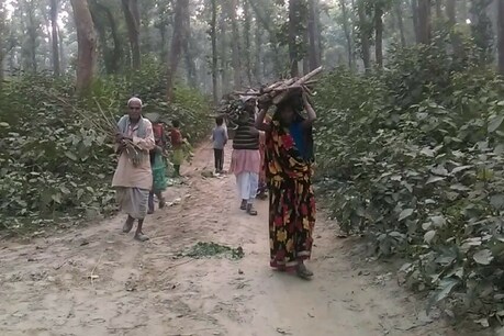 विकास से नावाकिफ हैं ये 4 गांव, जंगल को मानते हैं देश और रेंजर को सरकार विकास से नावाकिफ हैं ये 4 गांव, जंगल को मानते हैं देश और रेंजर को सरकार