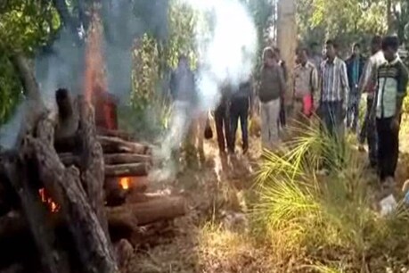 आखिर नहीं बचा बारहसिंगा, वन विभाग ने किया अंतिम संस्कार