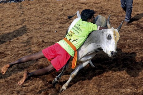 तस्वीर : AP