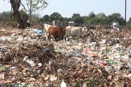 स्वच्छ भारत मिशन की ढोल पीटने वाली नगर पालिका परिषद की खुली पोल स्वच्छ भारत मिशन की ढोल पीटने वाली नगर पालिका परिषद की खुली पोल