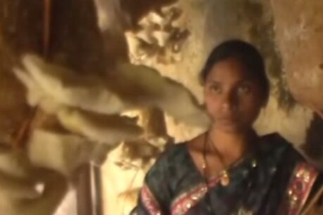 परिवार की खुशहाली के लिए महिला ने घर की चारदीवारी में लगाई मशरूम परिवार की खुशहाली के लिए महिला ने घर की चारदीवारी में लगाई मशरूम