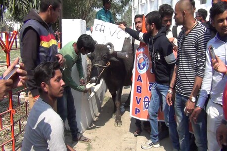 बिहार विश्वविद्यालय में चुनाव नहीं होने से नाराज छात्रों ने किया अनोखा प्रदर्शन बिहार विश्वविद्यालय में चुनाव नहीं होने से नाराज छात्रों ने किया अनोखा प्रदर्शन