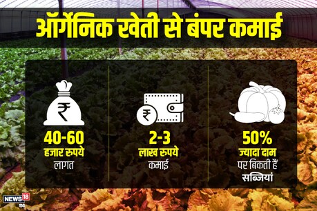 कर्नाटक की राजधानी बेंगलुरु में रहने वाली पदमावती 40-60 हजार रुपये लगाकर ऑर्गेनिक खेती के जरिये उगाई सब्जियों को 3 लाख रुपये तक में बेचती हैं. आइए जानें इसके बारे में...