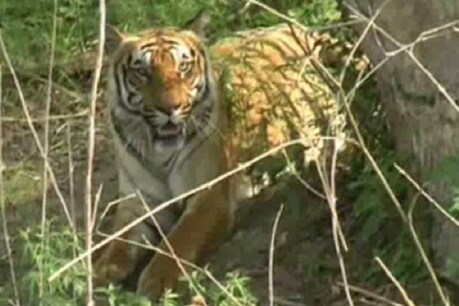 प्रतीकात्मक तस्वीर