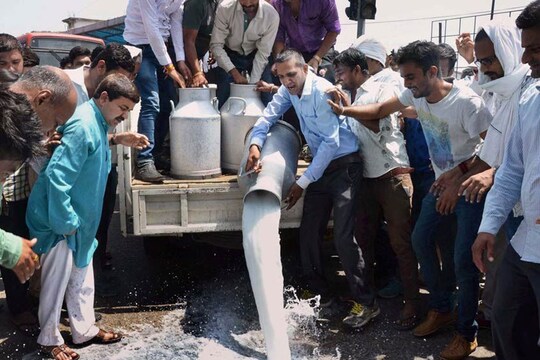 किसानों ने दूध और प्याज सड़क पर डालकर विरोध प्रदर्शन किया