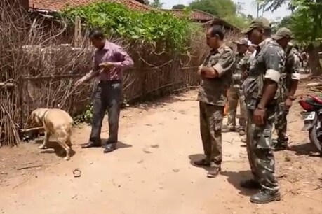 खूंटी में दो अलग-अलग घटनाओं में तीन लोगों की हत्या खूंटी में दो अलग-अलग घटनाओं में तीन लोगों की हत्या