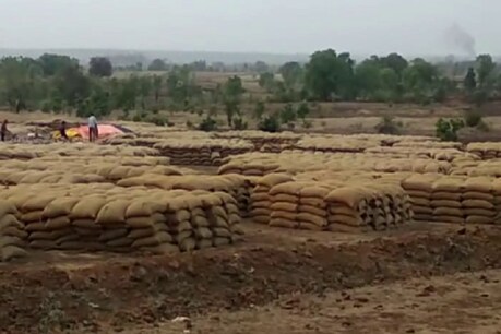 खुले में पड़ा तीन लाख क्विंटल गेहूं
