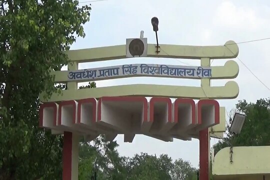 अवधेश प्रताप सिंह विश्वविद्यालय