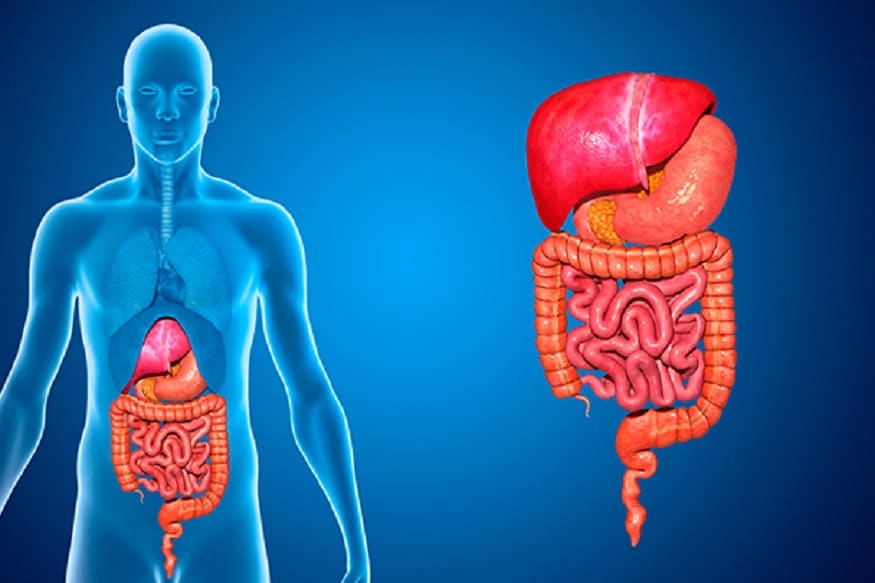 #4 Healthy Diet के साथ दिमाग और शरीर का कार्य के लिए खाली पेट सबसे अच्छा