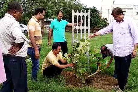 पौधारोपण करते हुए पत्रकार संघ और क्लीन एंड ग्रीन एसोसिएशन के सदस्य.