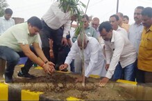 VIDEO: खाद्य मंत्री पुन्नूलाल मोहले ने पौधा लगाकर की अभियान की शुरुआत