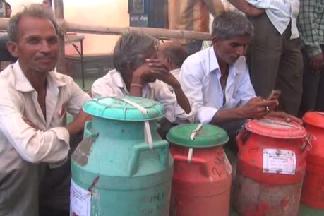 मालवांचल में तीस हजार से ज्यादा परिवार अफीम की खेती करते हैं