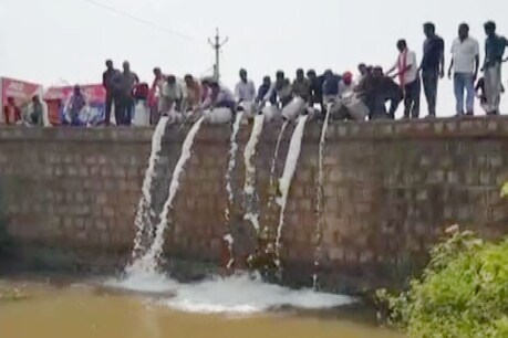 वाजिब दाम न मिलने पर दुग्ध उत्पादकों ने नाले में बहाया दूध