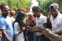 PHOTOS: जब 20 फीट लंबे अजगर के शिकंजे में आ गई 12 साल की बच्ची