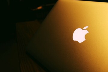 History Of Apple Logo Story Behind Half Eaten Apple Fruit Logo एप पल ब र ड क ल ग क स बन य कट ह आ स ब क य ह News18 Hindi