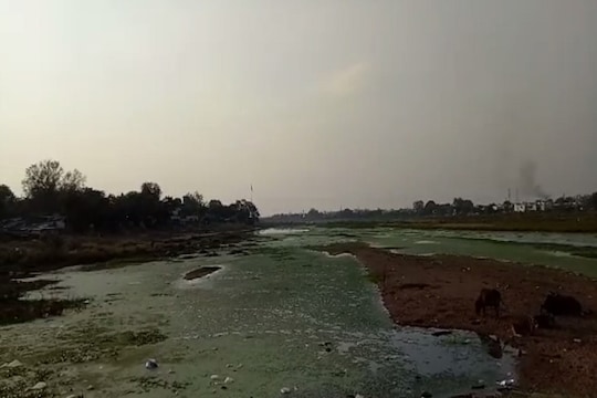 रेत माफियाओं और प्रशासन के रवैये से खतरे में अरपा नदी का अस्तित्व