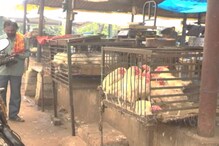 VIDEO: चिकन-मटन मार्केट में फैली गंदगी और बीमारी की आशंका से लोग परेशान
