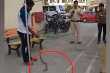 OMG! पुलिस स्टेशन में घुस आया सांप तो मच गया हड़कंप, देखें VIDEO