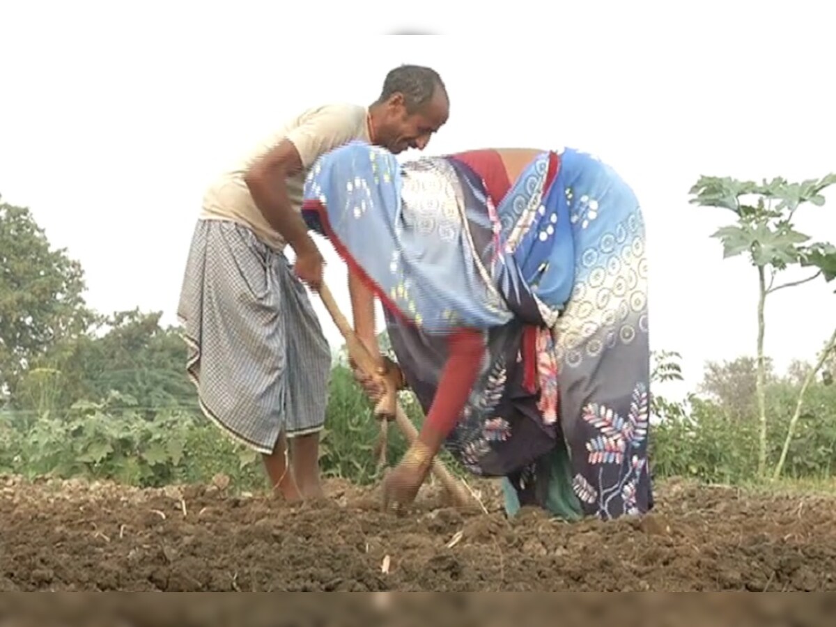 इतनी बढ़ गई किसानों की आय, पीएम मोदी के इस दांव से हो जाएगी डबल! strategy  for doubling income of farmers pradhan mantri kisan samman nidhi scheme  bank narendra modi-dlop – News18