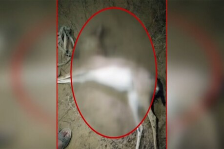 फोटो : न्यूज 18 राजस्थान ।