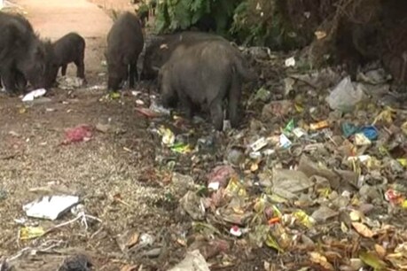 स्वच्छता सर्वेक्षण 2019: कवर्धा नगर पालिका के दावों से उलट है हकीकत