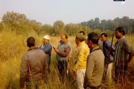 शौच करने गए युवक को बाघ ने बनाया अपना निवाला, जंगल से बरामद हुई लाश शौच करने गए युवक को बाघ ने बनाया अपना निवाला, जंगल से बरामद हुई लाश