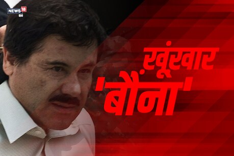 जब चापो मारा गया! फिर उसकी फैमिली और कार्टेल का क्या हुआ? जब चापो मारा गया! फिर उसकी फैमिली और कार्टेल का क्या हुआ?