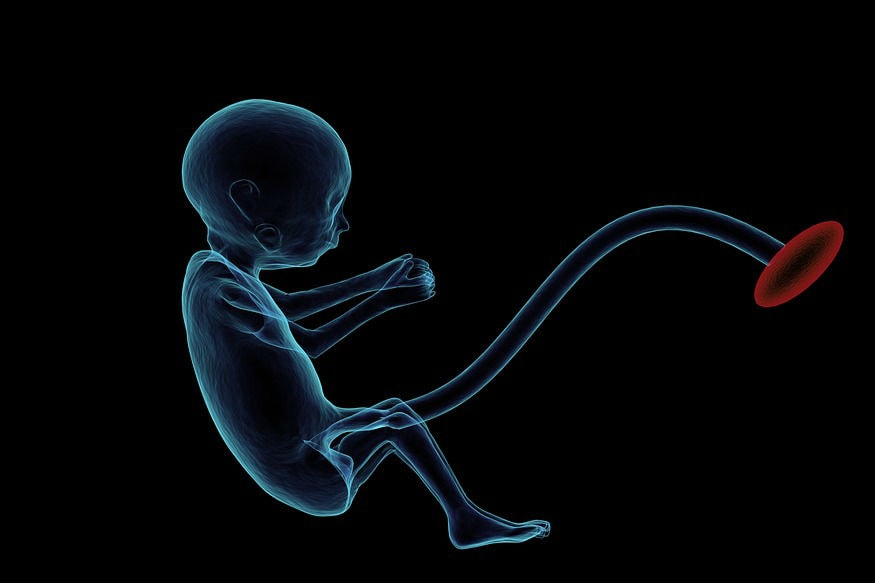 Xxx New Video Bachcha Kaise Paida Hota Hai - Know how a sperm convert in your baby - à¤œà¤¾à¤¨à¤¿à¤ à¤¸à¥à¤ªà¤°à¥à¤® à¤¸à¥‡ à¤•à¥ˆà¤¸à¥‡ à¤¬à¤¨à¤¤à¤¾ à¤¹à¥ˆ à¤†à¤ªà¤•à¤¾  à¤ªà¥à¤¯à¤¾à¤°à¤¾ à¤¸à¤¾ à¤¬à¥‡à¤¬à¥€ â€“ News18 à¤¹à¤¿à¤‚à¤¦à¥€