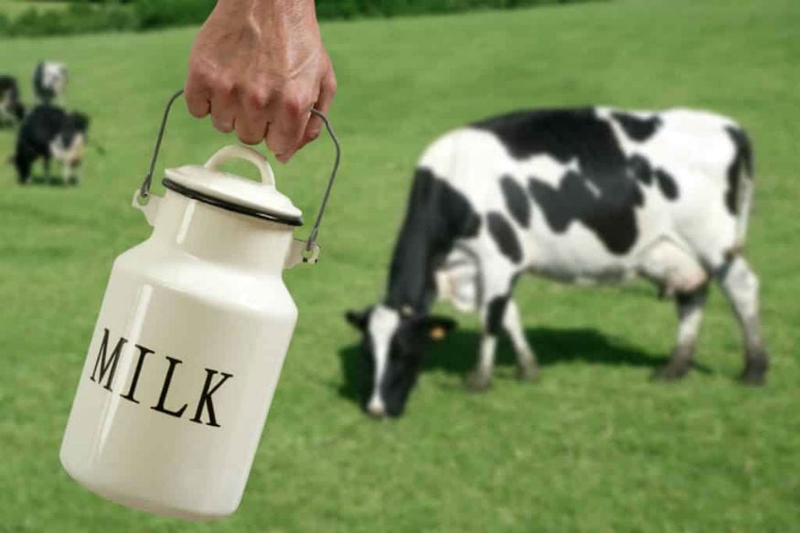 मनुष्यों ने क्यों जानवरों का दूध पीना शुरू किया-why human starts