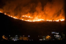 गिरिडीह के तिरला जंगल में आग से सैकड़ों पेड़ जले, पाकुड़ में भी लाखों का नुकसान