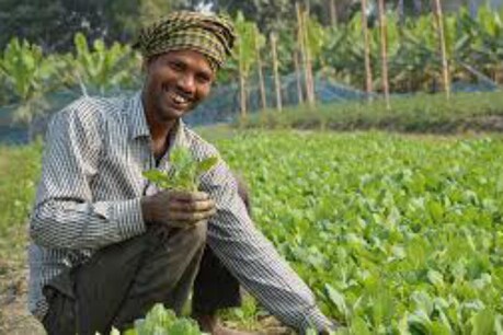 गुजरात के किसानों को राहत, Pepsico ने कहा- समझौते को तैयार गुजरात के किसानों को राहत, Pepsico ने कहा- समझौते को तैयार