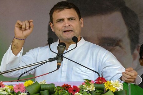 राहुल गांधी (फाइल फोटो)